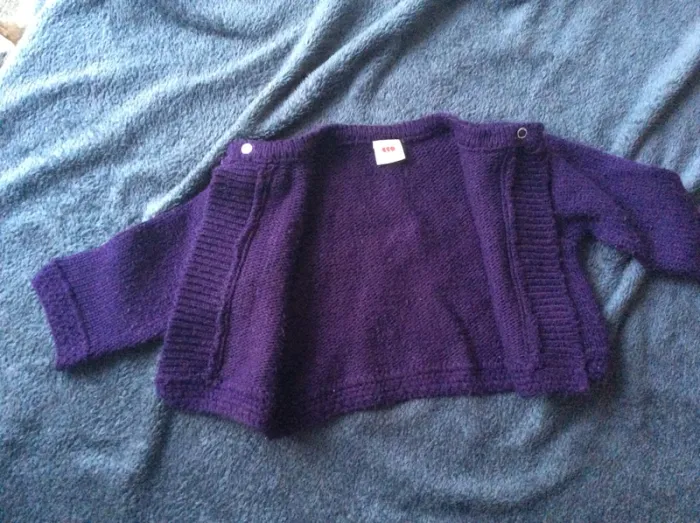 Gilet 3 pommes - photo numéro 3