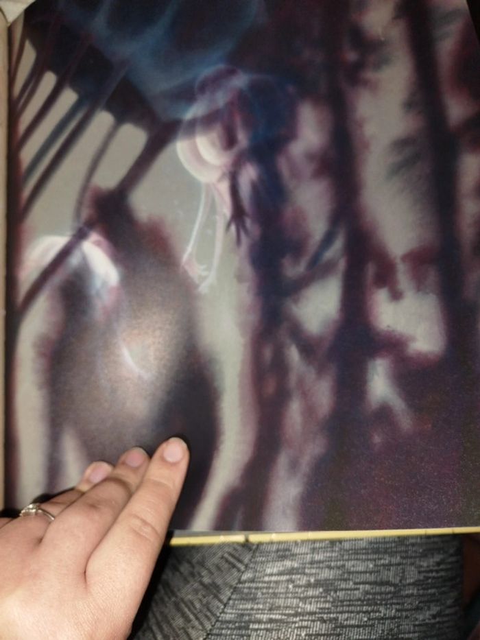 Très beau livre sur les fee - photo numéro 9