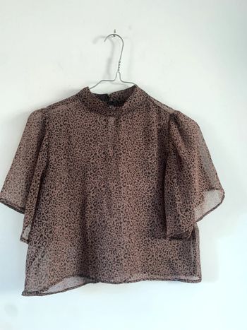 Top court transparent léopard