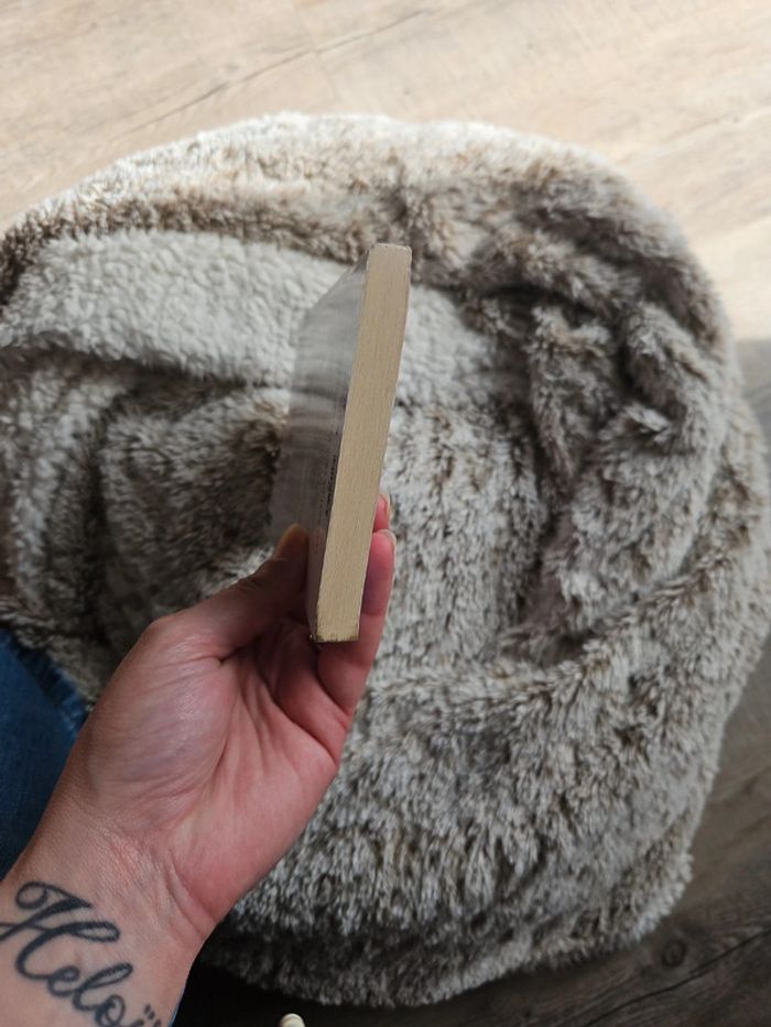 Livre Marie Vingtras - photo numéro 4