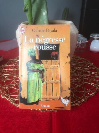 La négresse rousse -  Calixthe Beyala
