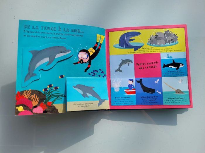 Livres animé à tirettes Kididoc : D'où ça vient ? Dauphins et Baleines et Les Dinosaures - photo numéro 3