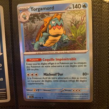 Carte Pokémon holographique  torgamord