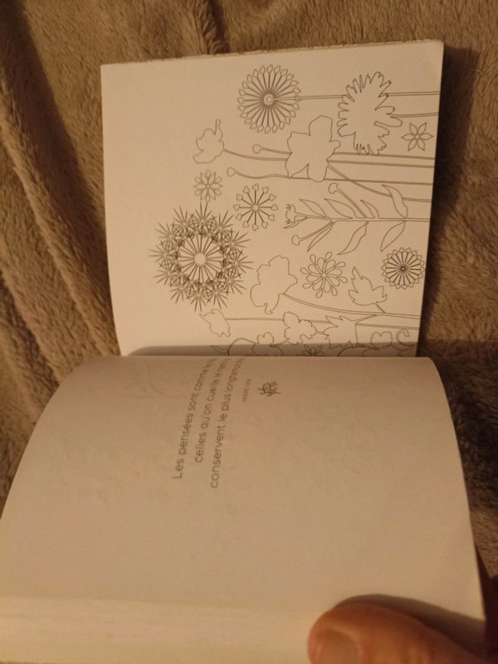 Petit livre à colorier jardin - photo numéro 2
