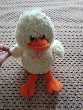 Canard en peluche