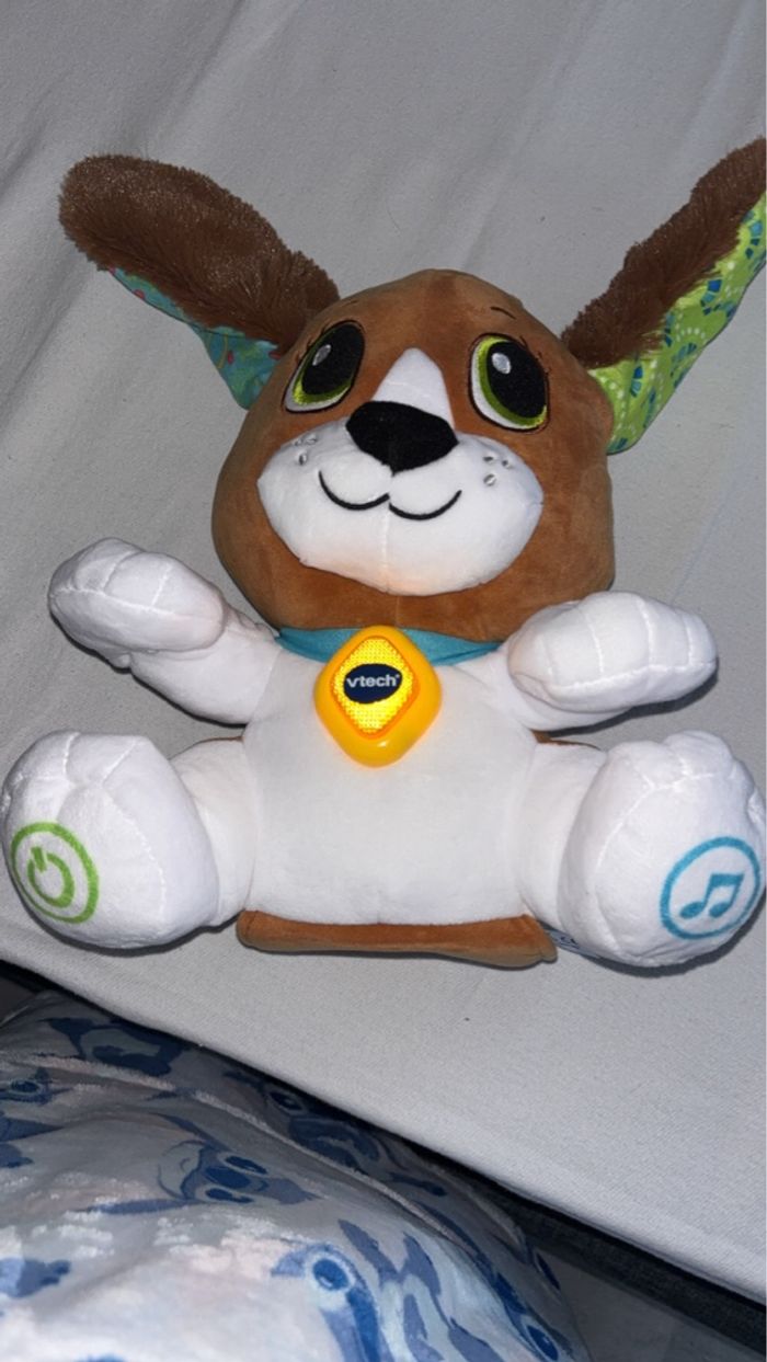 Chien musical - photo numéro 3