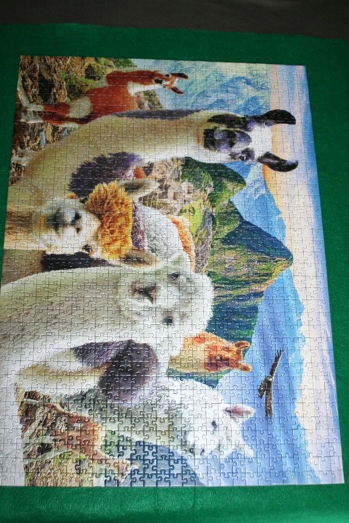 Puzzle Lamas 1000pcs - photo numéro 2