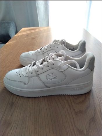 Basket Lacoste unisexe 