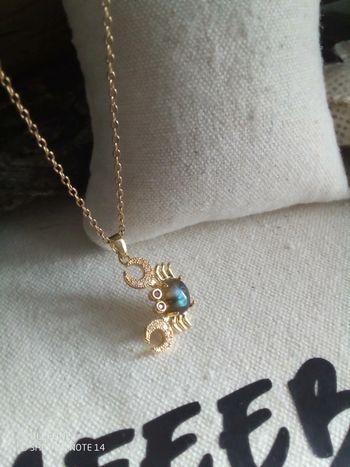 Collier crabe pierre de labradorite naturelle