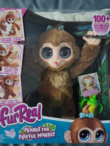 Singe Peanut Fureal  - neuf