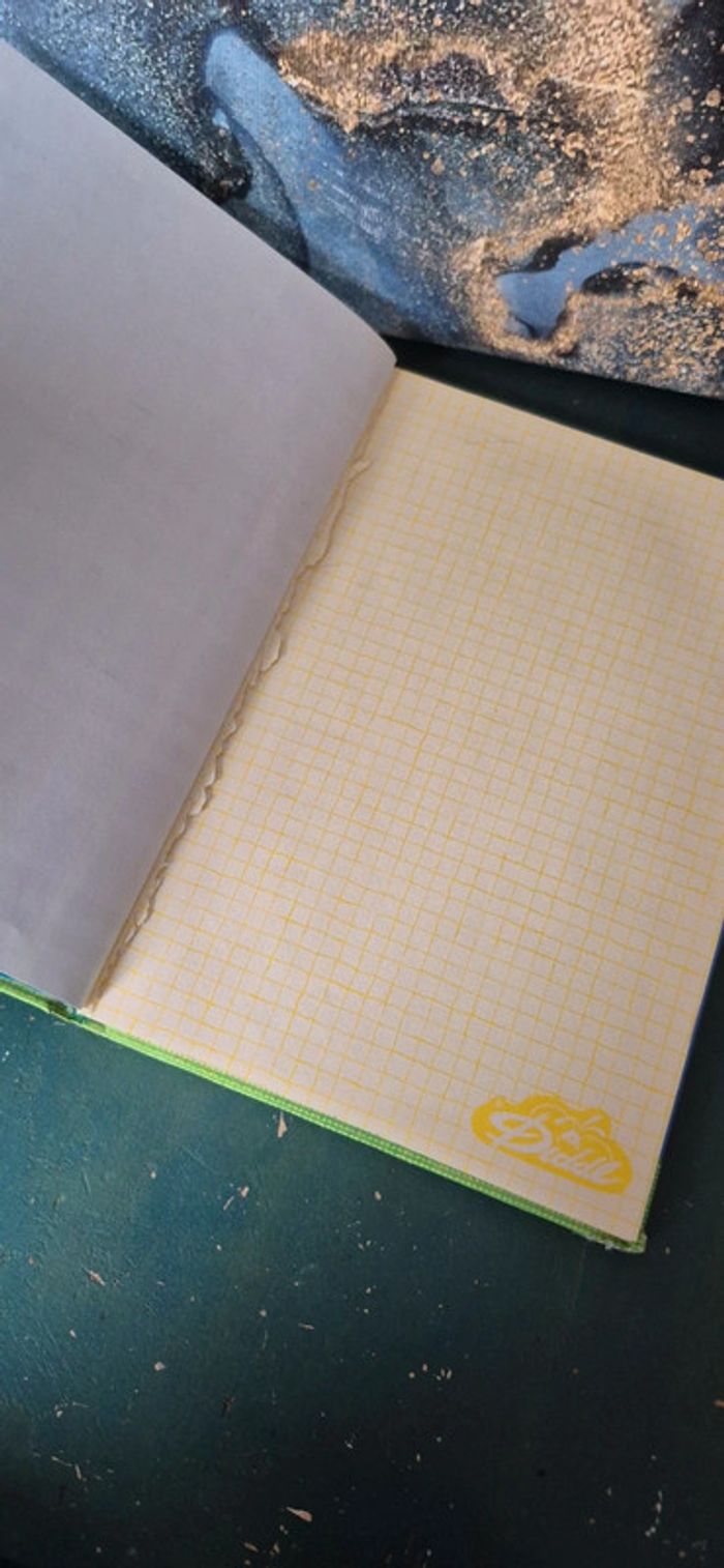 Carnet de note diddl - photo numéro 6