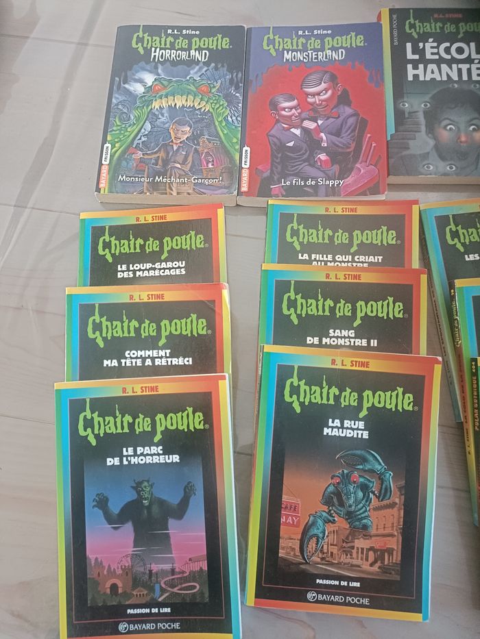 Livre chair de poule - photo numéro 2