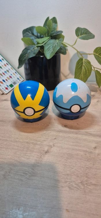 Pokeball pokemon