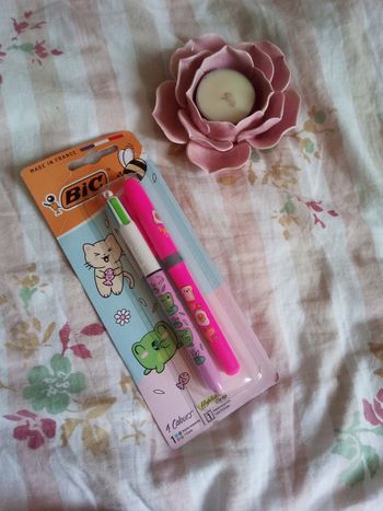 Lots stylos bic et flou marque bic