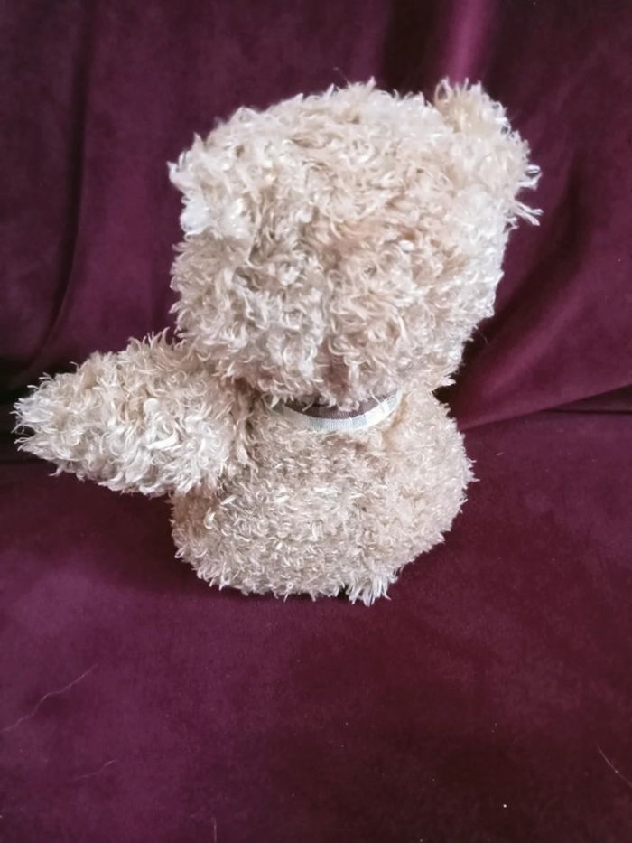 Peluche ours - photo numéro 3