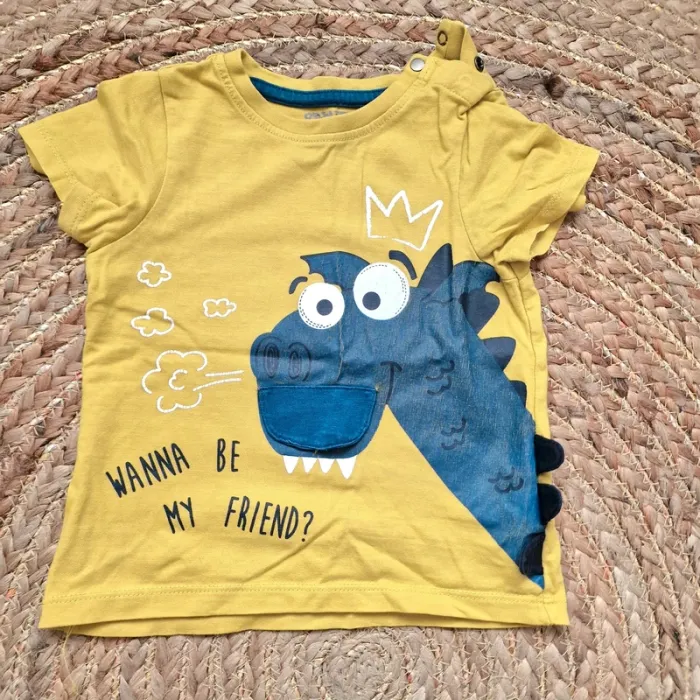 Lot 20 t-shirts 2 ans garçon - photo numéro 12