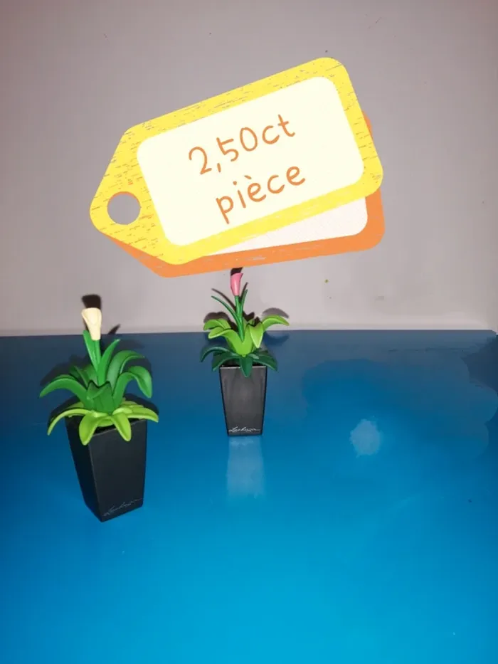 Thème* végétation / Pot & fleurs - photo numéro 4