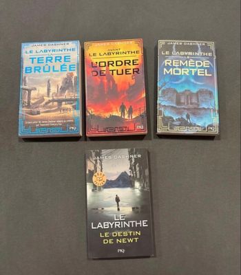 Livres  Le  Labyrinthe