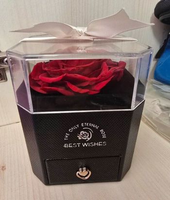 Rose rouge