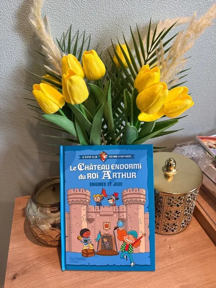 Livre le château endormi du roi Arthur