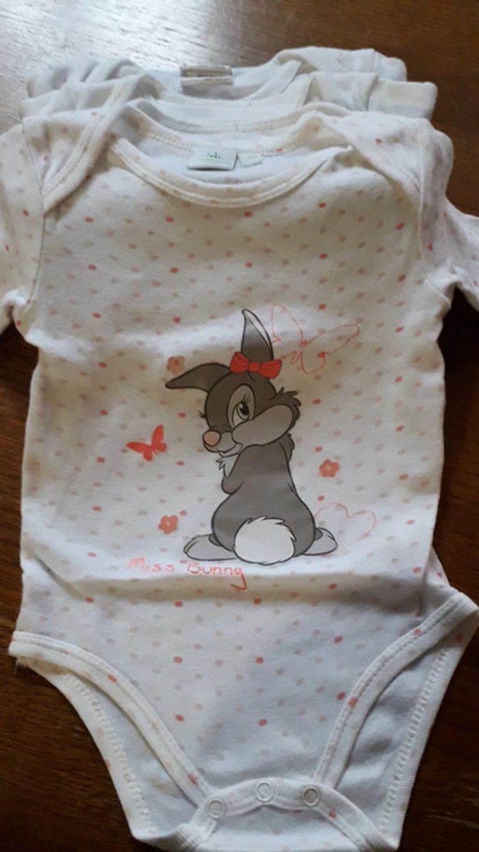 Lot de 2 bodies manches longues - photo numéro 3