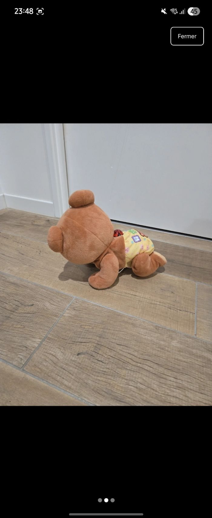 Ourson interactif - photo numéro 2