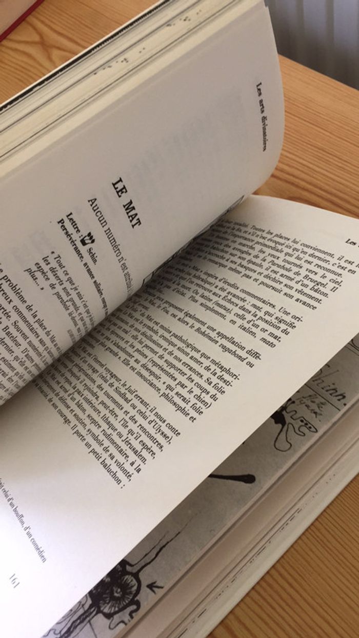 La pratique des arts divinatoires - photo numéro 12