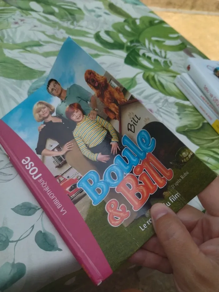 Boule et Bill - photo numéro 4