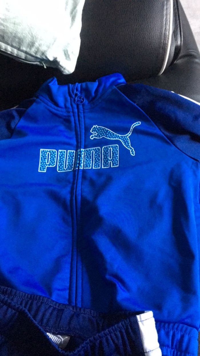 Jogging puma - photo numéro 2