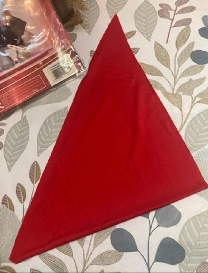 Costumes pirates pour chiens 9/11 kgs - photo numéro 9