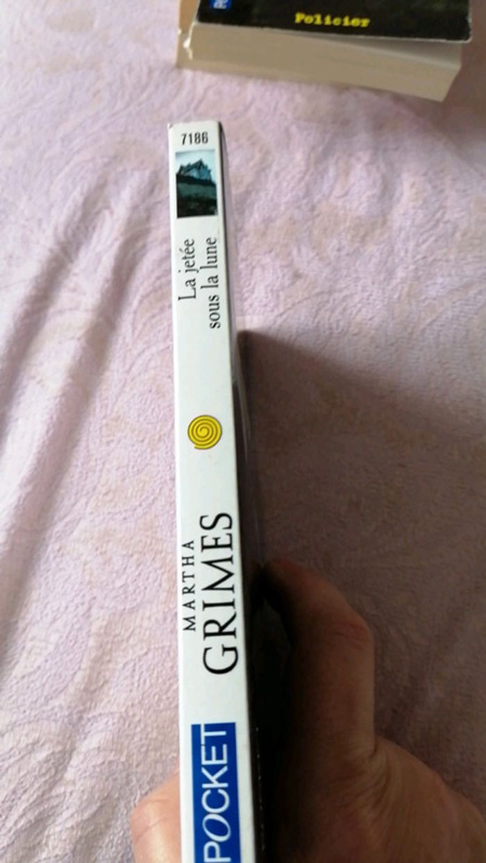 La jetée sous la lune - photo numéro 3