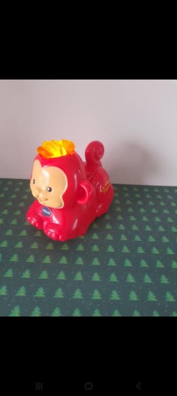 Tut tut animo singe rouge ouistiti