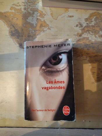 Livre Les âmes vagabondes