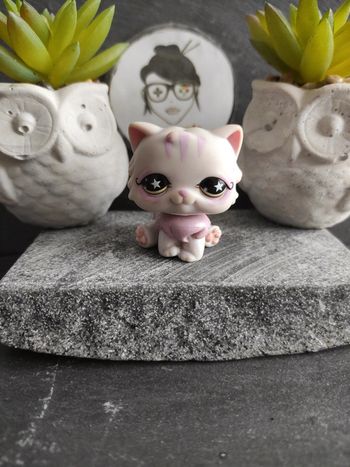 My Littlest Petshop LPS Pet Shop chat persan 891 cat  #geektradelpschat