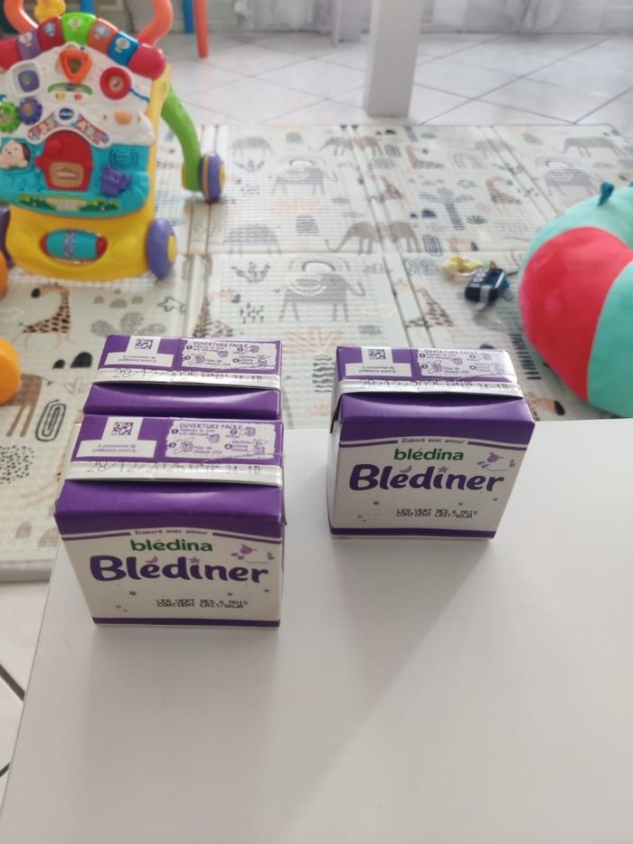 Briques blediner - photo numéro 2