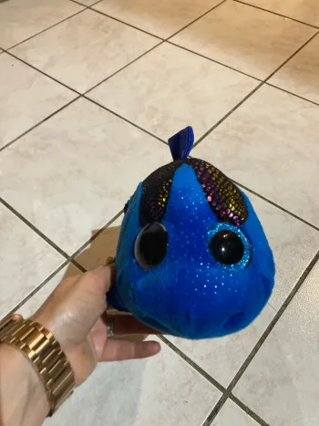 Dory ty