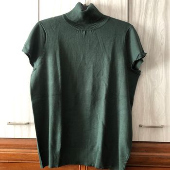 Pull col roulé