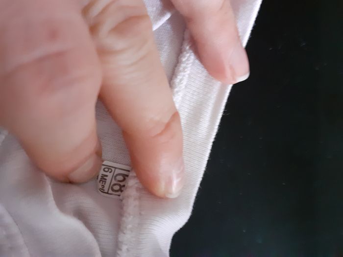 Tee-shirt - photo numéro 2