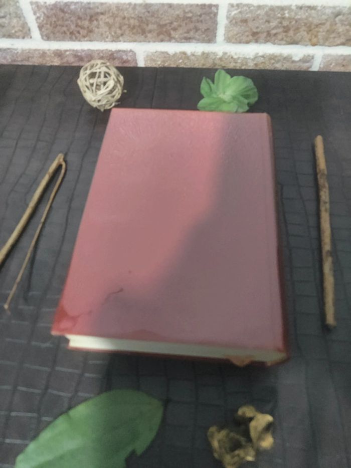 E.T.A Hoffmann - Contes et Dessins / Volume 3, Tomes III et IV - photo numéro 6