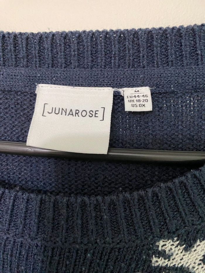 Pull bleu et blanc Junarose taille 44-46 - photo numéro 2