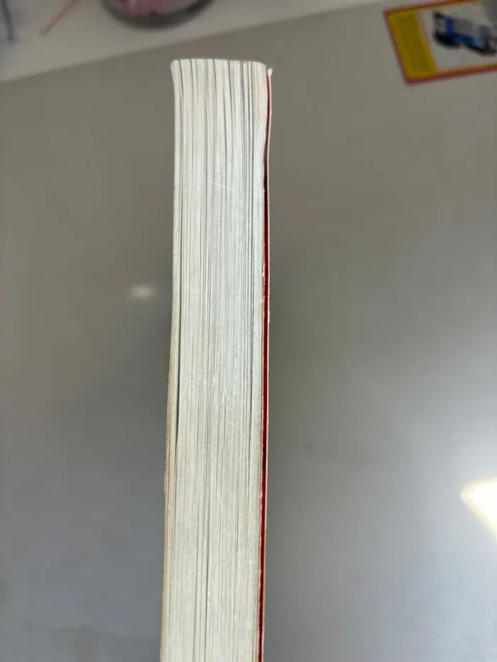 Livre journal d’un dégonflé tome 3 - photo numéro 4