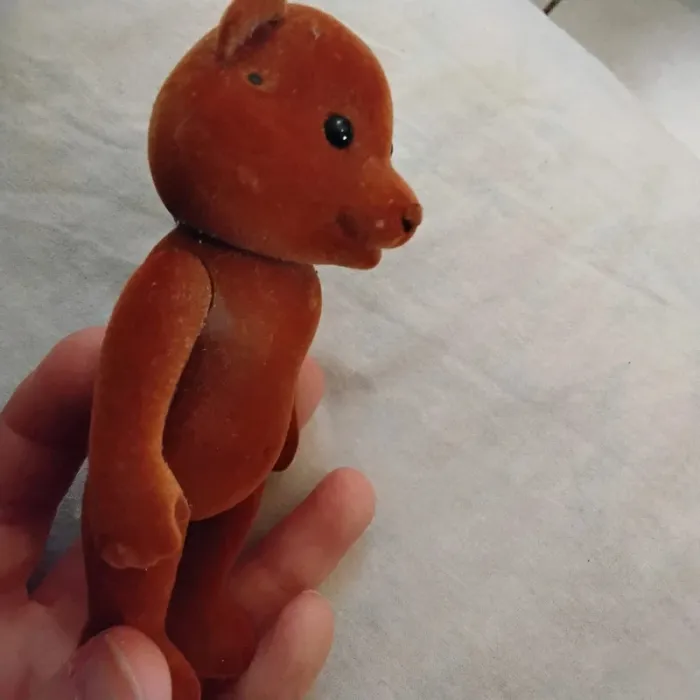 Ours 🐻 - photo numéro 4