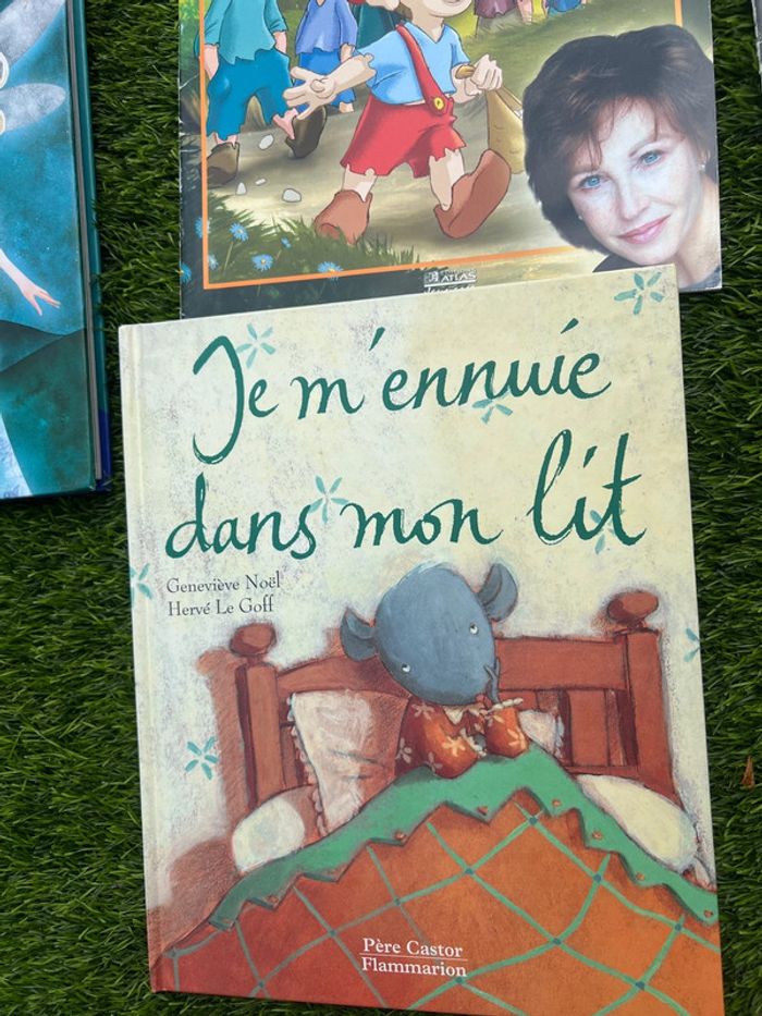 Gros lot de livres divers ( pas de vinted go ) - photo numéro 16