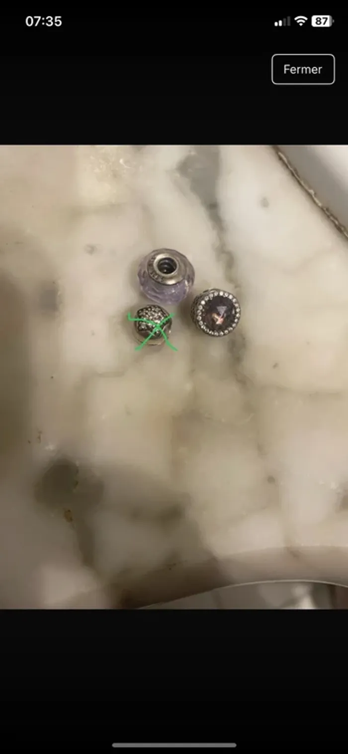 Lot 2 charms pandora