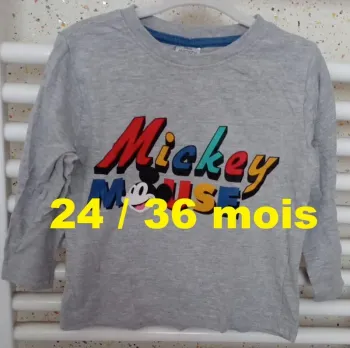 Tee shirt manche longue ( pyjama ) gris imprimé multicolore Disney Taille 24 / 36 mois