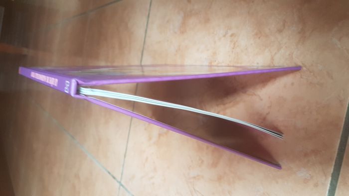 Livre "Le rêve de Mademoiselle Strich" de Babar - photo numéro 3