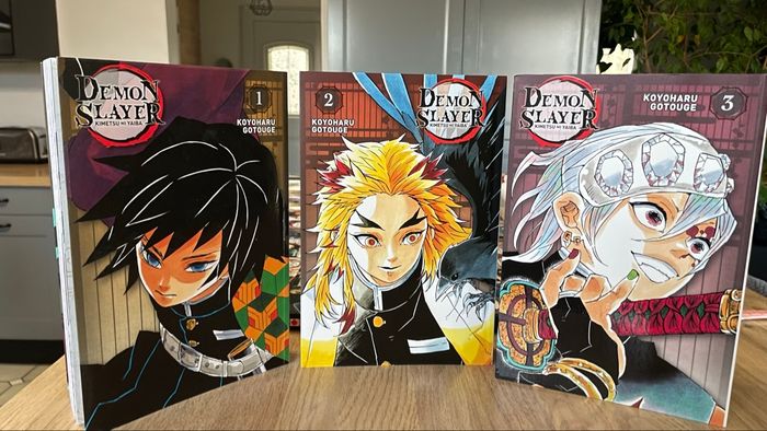 Roman piliers démon slayer