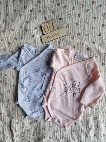 Lot 2 bodies Disney Baby