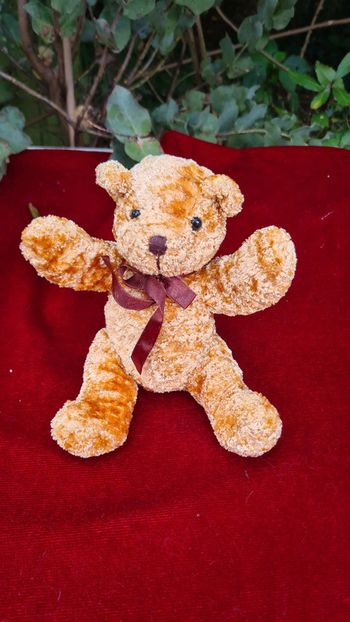 petit ourson bouclé