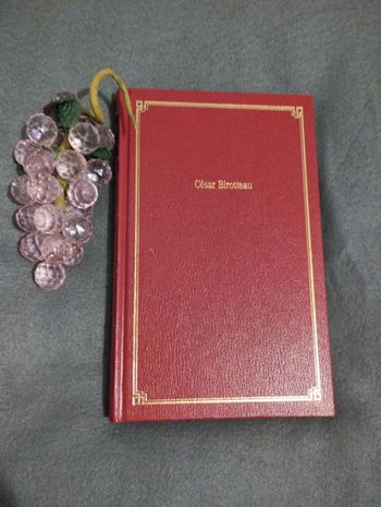 César Birotteau de Balzac